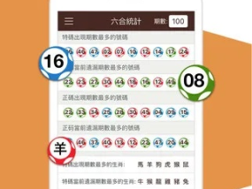 新澳门开奖结果2024开奖记录查询_结论释义解释落实_安装版v328.833