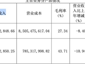 近十年营收首次“失速”！中科曙光两大产品线收入缩水