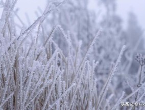 今年立冬有3点不一般，寓意好不好？农谚有说法 预示冬天冷暖