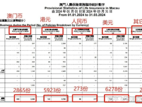 2024年澳门资料全年冤费_详细解答解释落实_iPad93.77.93