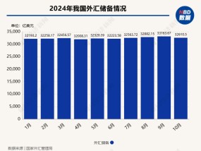 
          
            汇管研究院副院长赵庆明：人民币汇率与外汇储备存在相互支撑关系
        