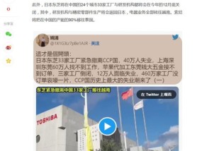 黄页网站18以下勿看:德国与芬兰，历史、文化与经济的碰撞