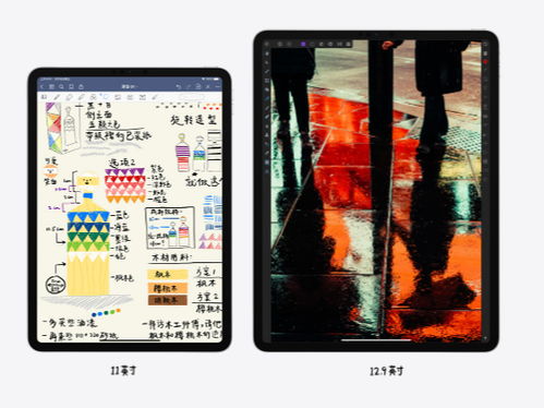 二四六旺角彩资讯网站的结构_精选解释落实将深度解析_iPad48.37.12