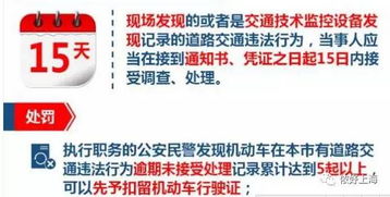 2025澳门开奖历史记录结果查询-全面探讨落实与释义全方位